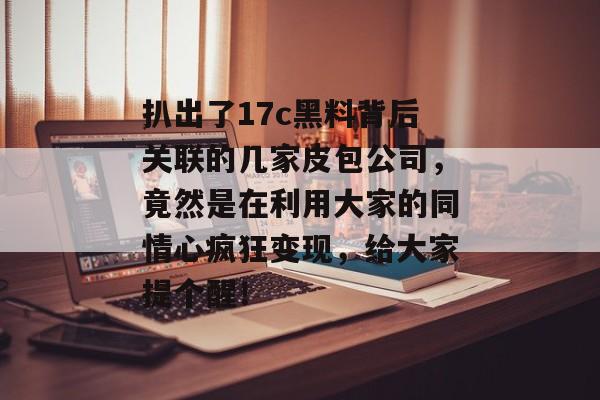 扒出了17c黑料背后关联的几家皮包公司,竟然是在利用大家的同情心疯狂变现,给大家提个醒!